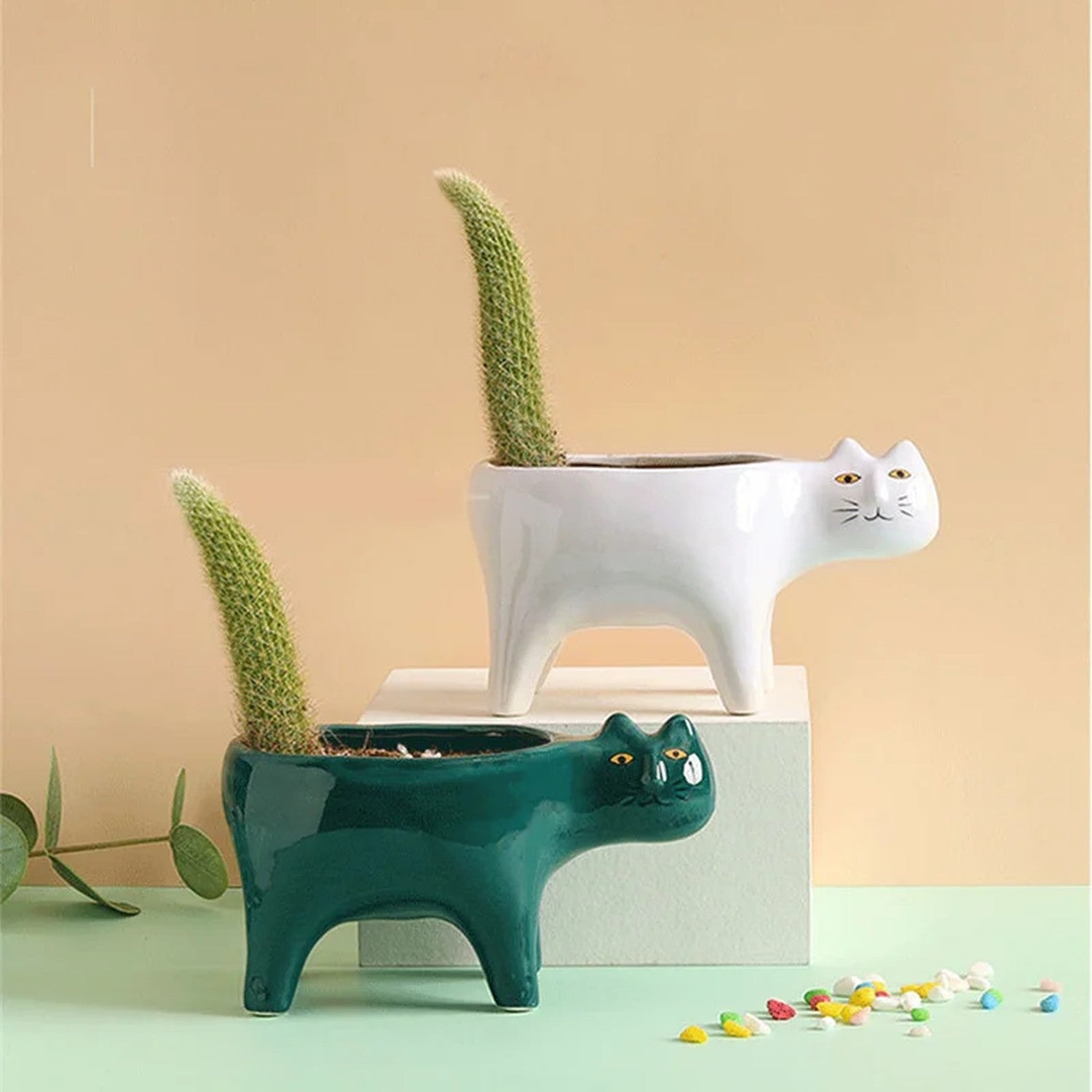 Cache-pot chat en céramique blanc et vert foncé avec cactus