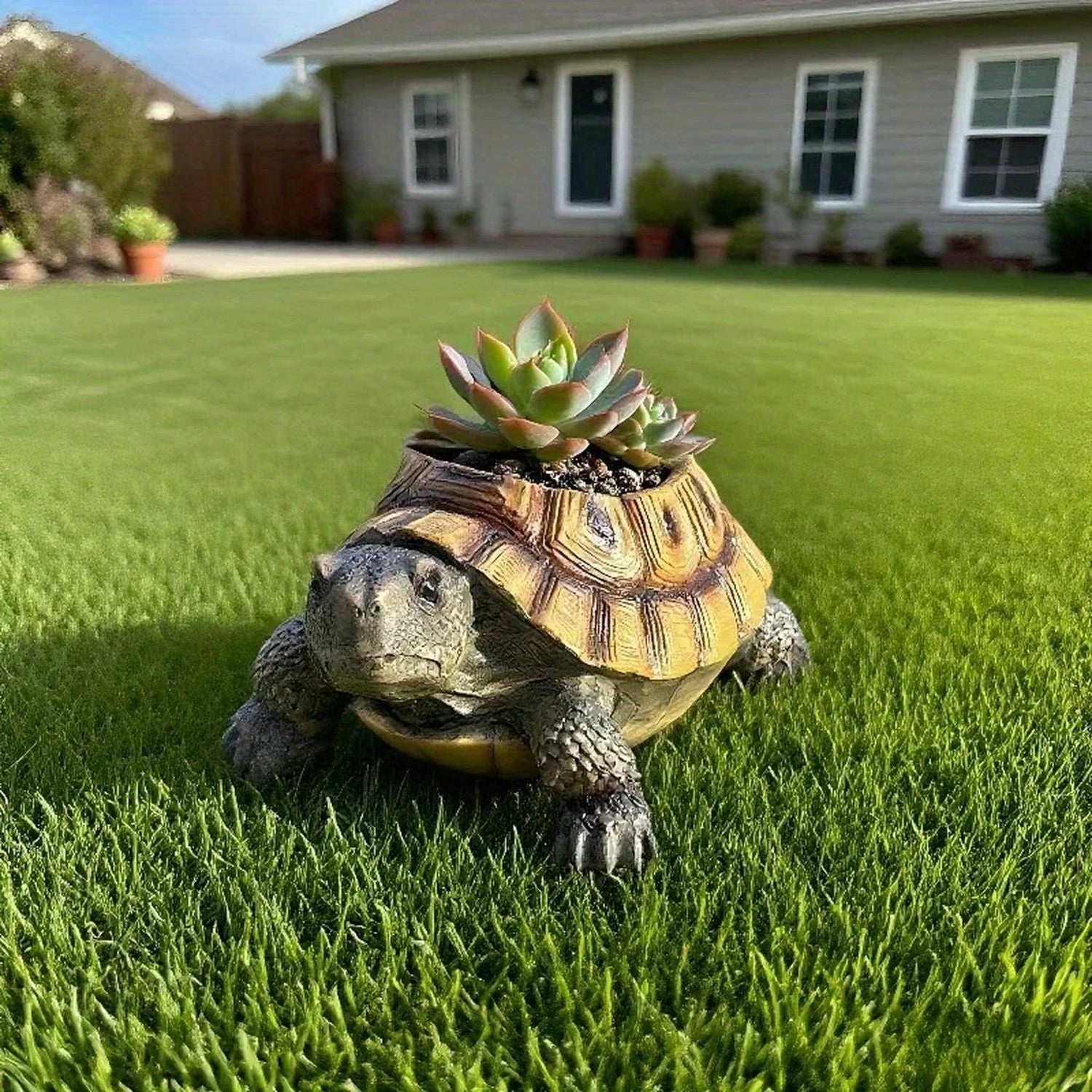 Jardinière tortue résine vintage avec succulent sur pelouse verte vue latérale