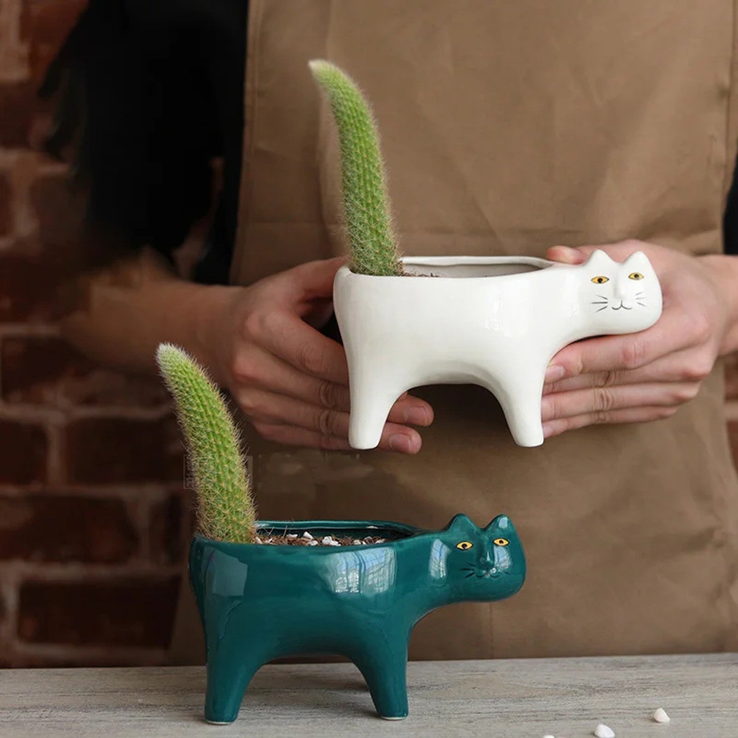 Cache-pot chat blanc tenu en main avec cactus
