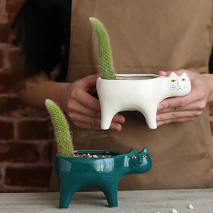 Cache-pot chat blanc tenu en main avec cactus