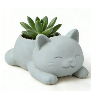 Cache-pot chat gris clair avec succulente sur fond blanc