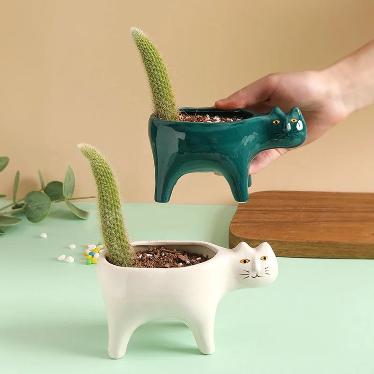 Cache-pot chat vert foncé en céramique tenu en main