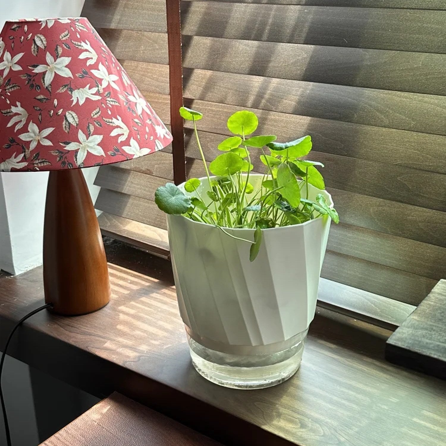 Petit pot auto-arrosage blanc avec plante verte sur rebord de fenêtre en bois
