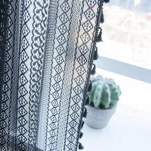 Rideau dentelle noir suspendu devant une fenêtre avec un cactus