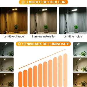 Trois modes de couleur et dix niveaux de luminosité de la lampe pince
