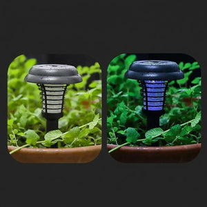 Comparaison lampe solaire anti-moustiques le jour et la nuit avec lumière UV bleue