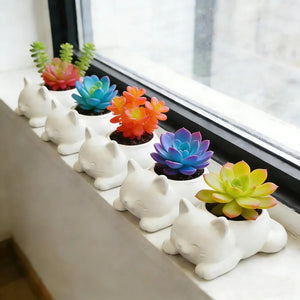 Collection de pots chats blancs avec succulentes colorées sur rebord de fenêtre