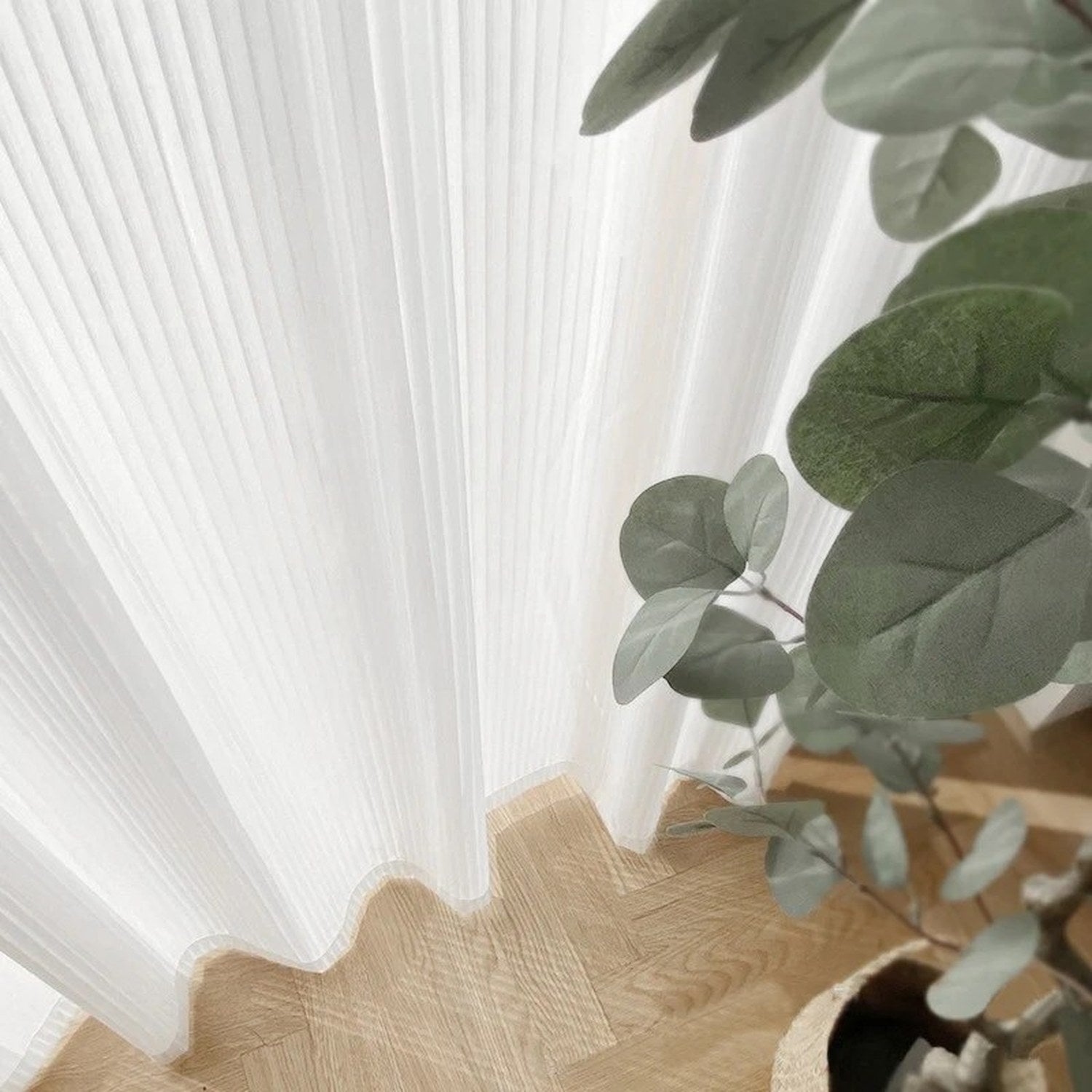 Plis du voilage blanc en gros plan avec une branche d'eucalyptus