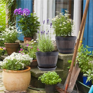 Pot de fleur tonneau imitation bois avec lavande et fleurs champêtres dans jardin