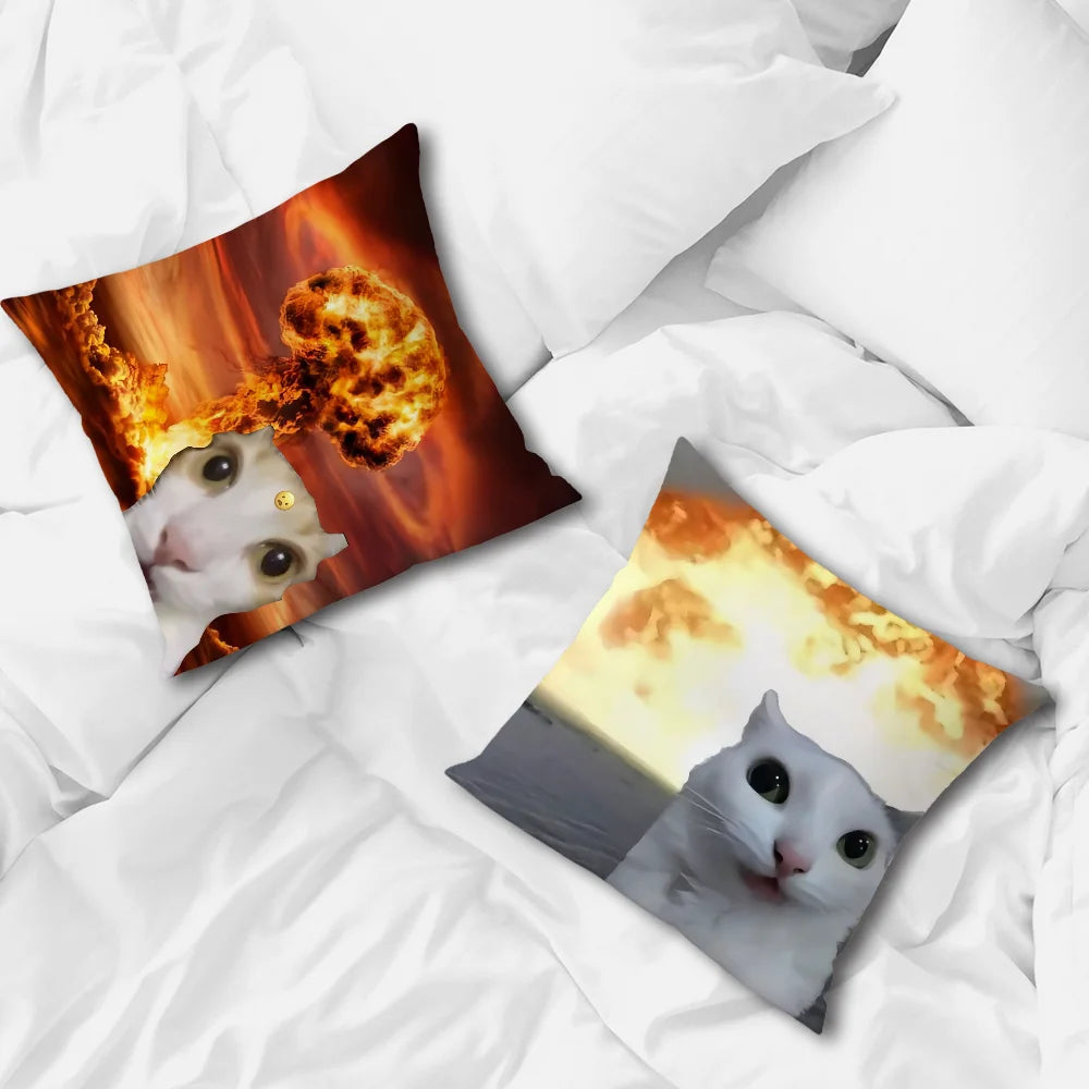 Housse de coussin chat disponible en trois tailles 45x45 50x50 et 55x55 cm
