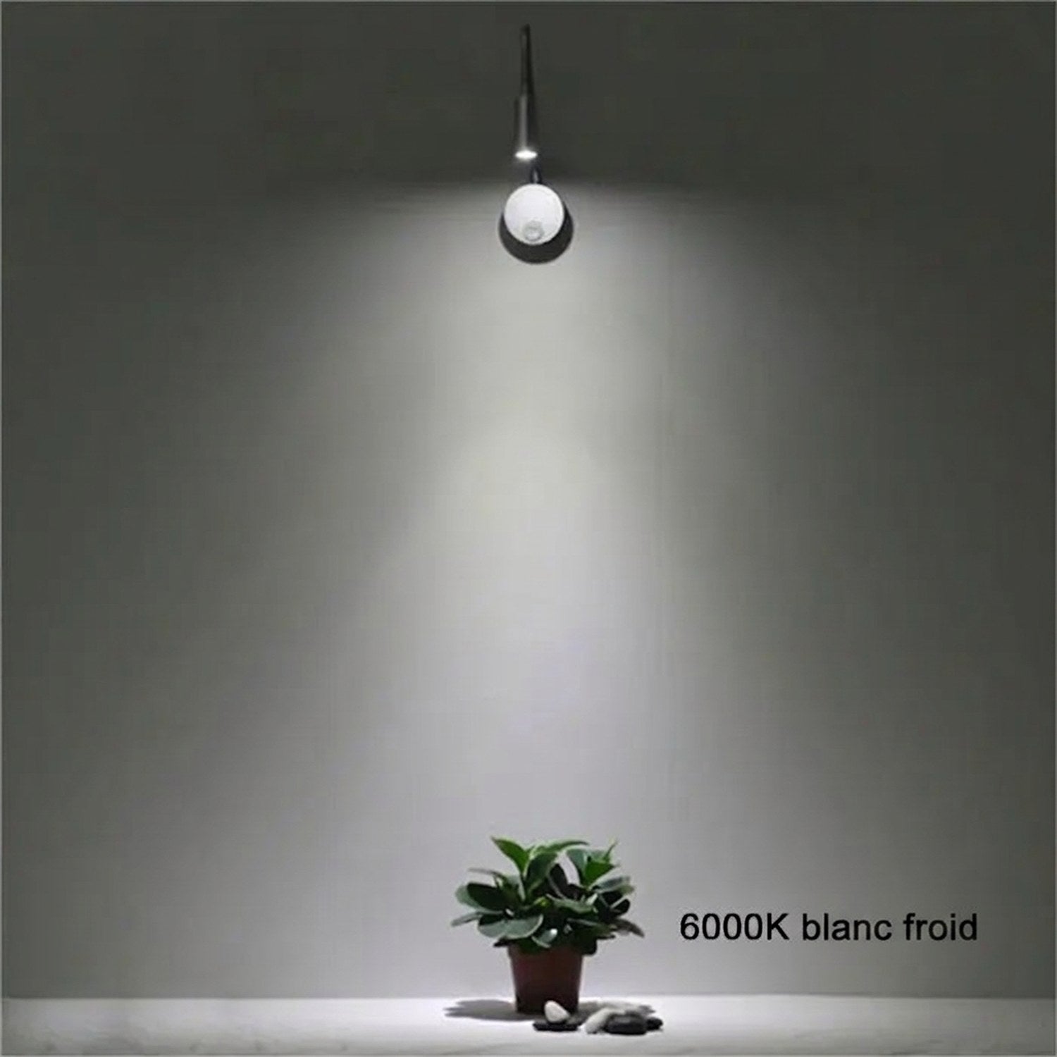 Applique murale liseuse allumée en lumière blanche 6000K au-dessus d une plante