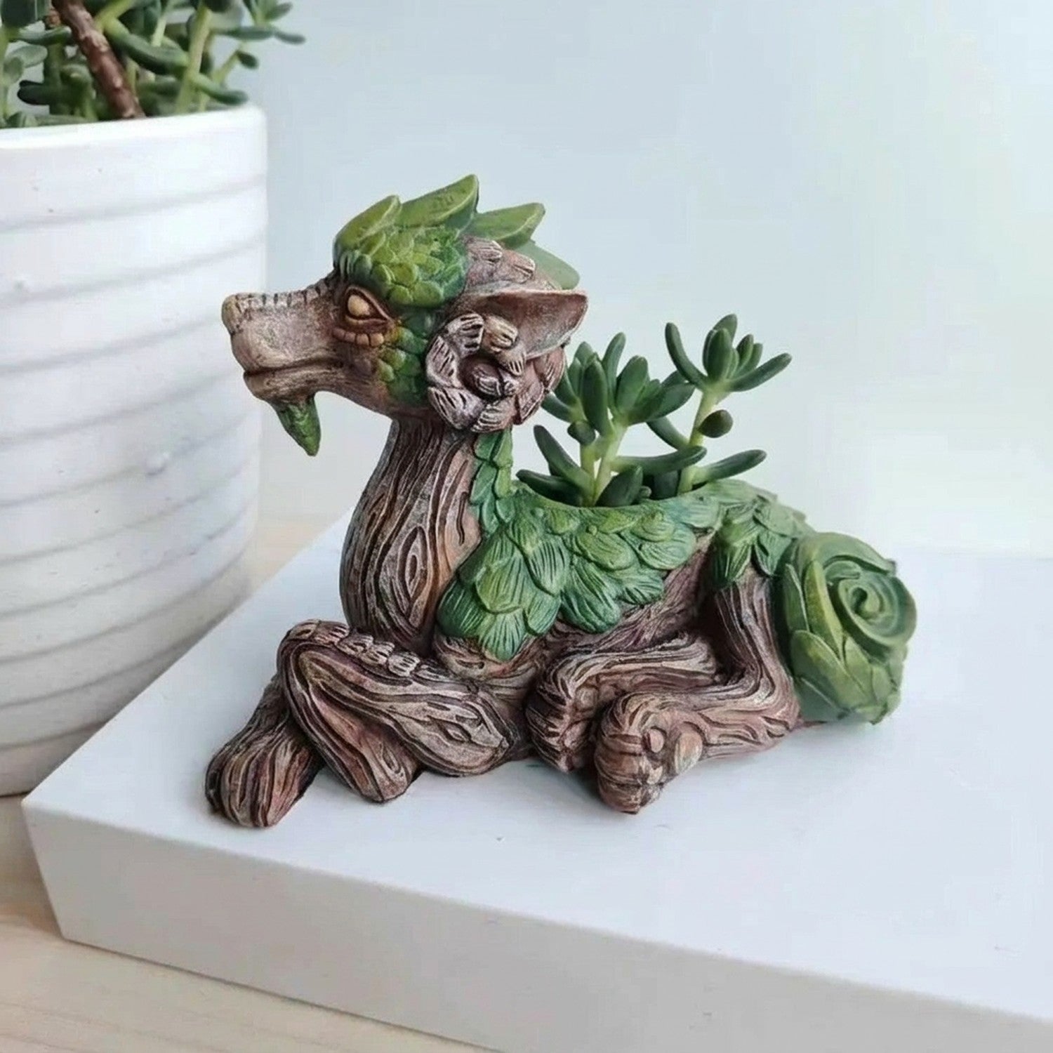 Jardiniere dragon imperial resine bois avec plante grasse