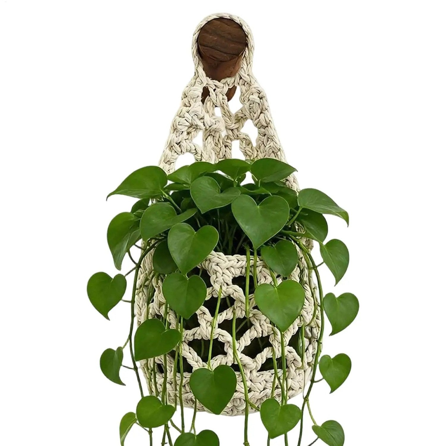 Panier suspendu macramé blanc avec pothos feuilles en cœur sur fond blanc