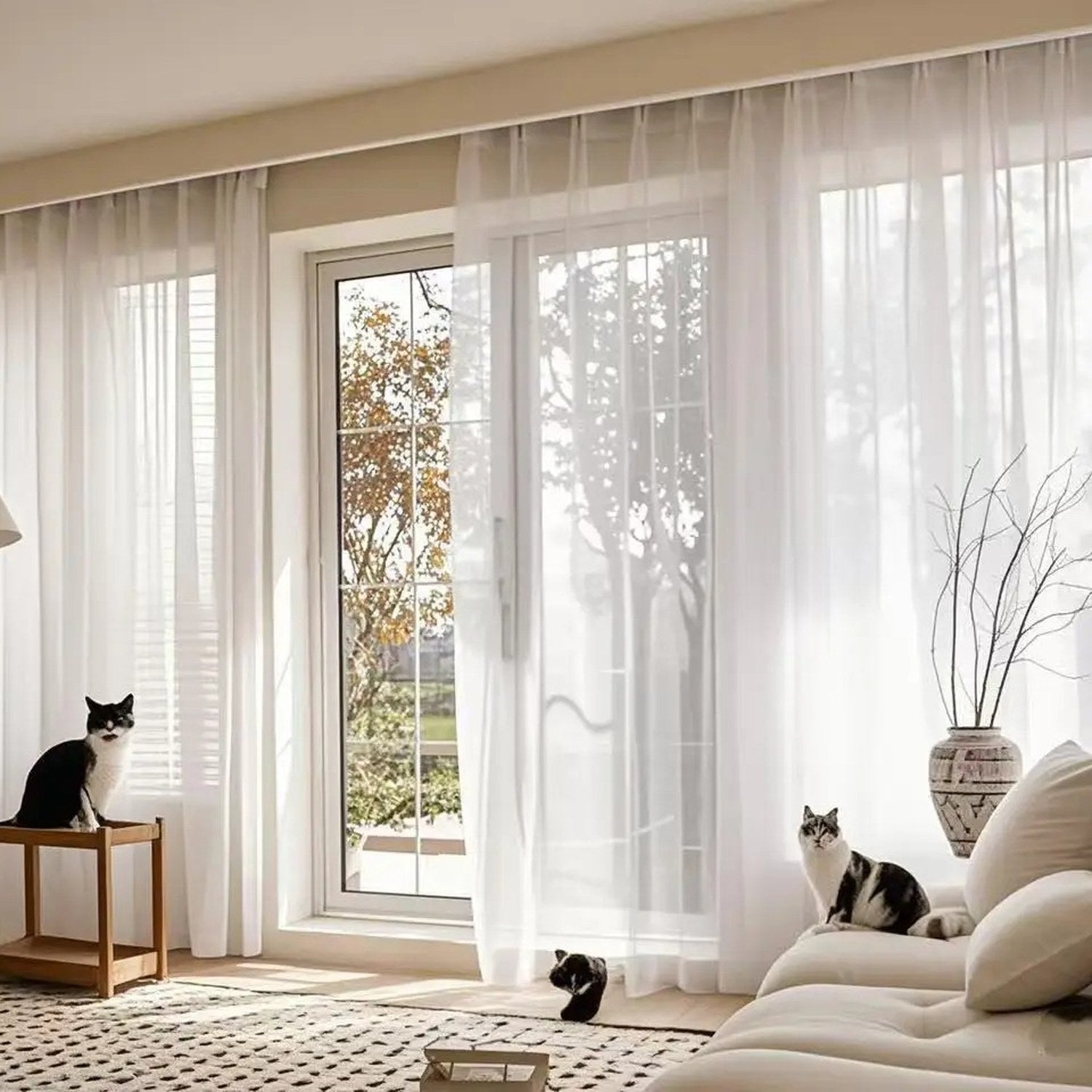 Voilage blanc dans un salon lumineux avec canapé beige et chats