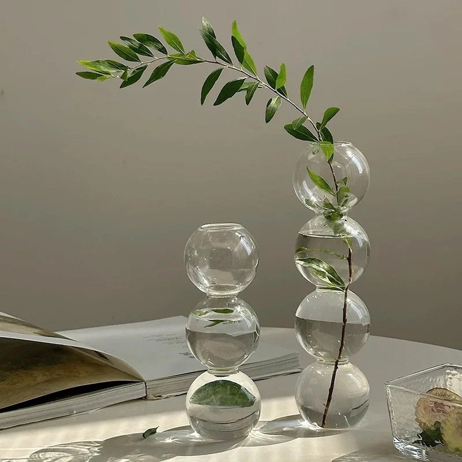 Deux tailles du vase en verre à bulles avec des branches d'eucalyptus