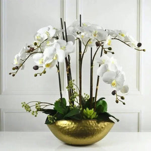Coupe dorée garnie d une composition d orchidées blanches