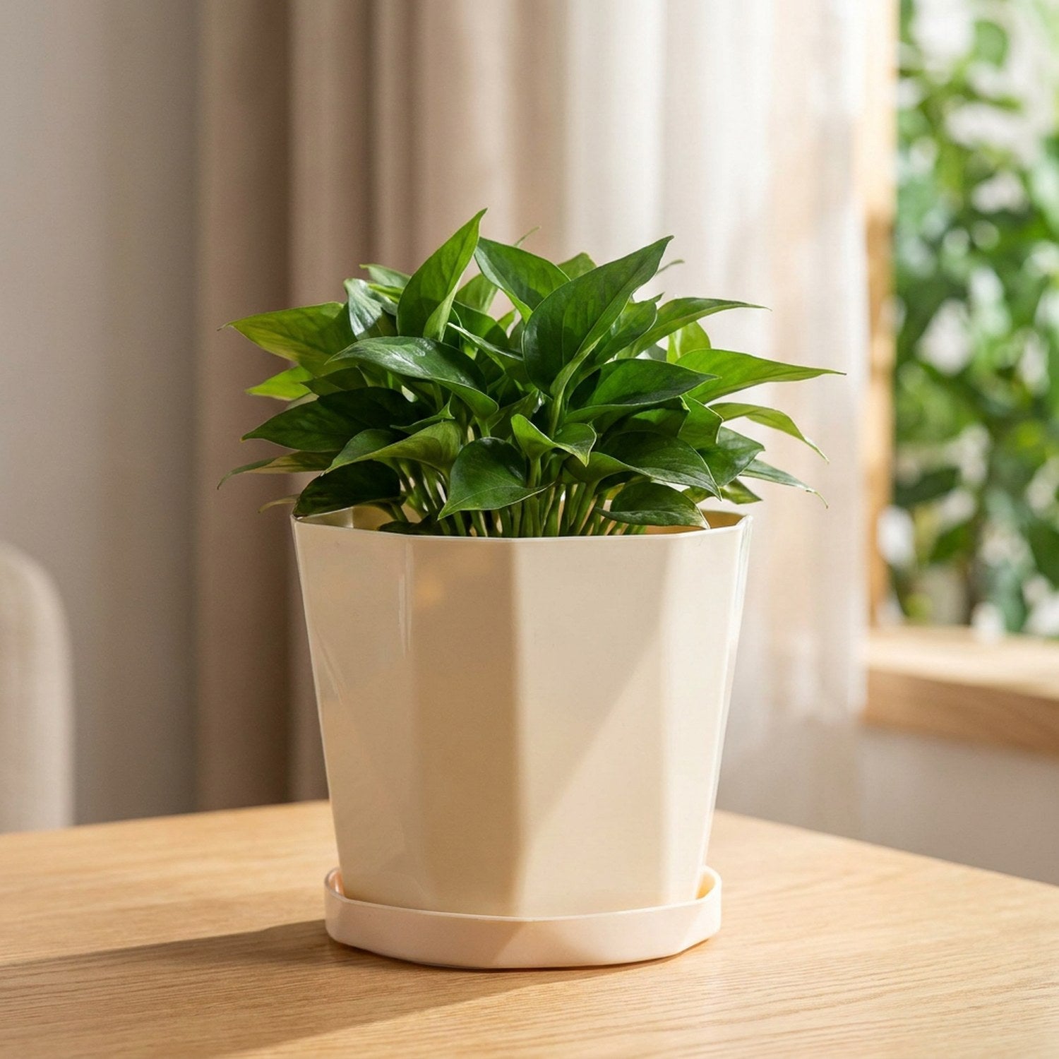 Cache-pot beige à facettes géométriques avec sa soucoupe et une plante verte