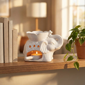 Brûle-parfum éléphant allumé sur une étagère de salon avec livres et plante verte