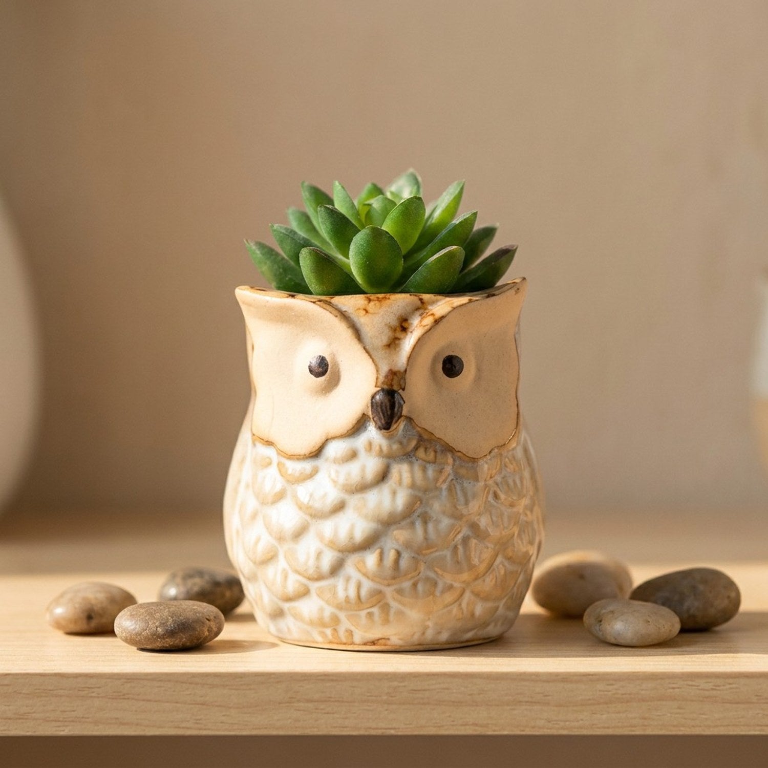 Cache-pot hibou céramique couleur Beige avec succulente