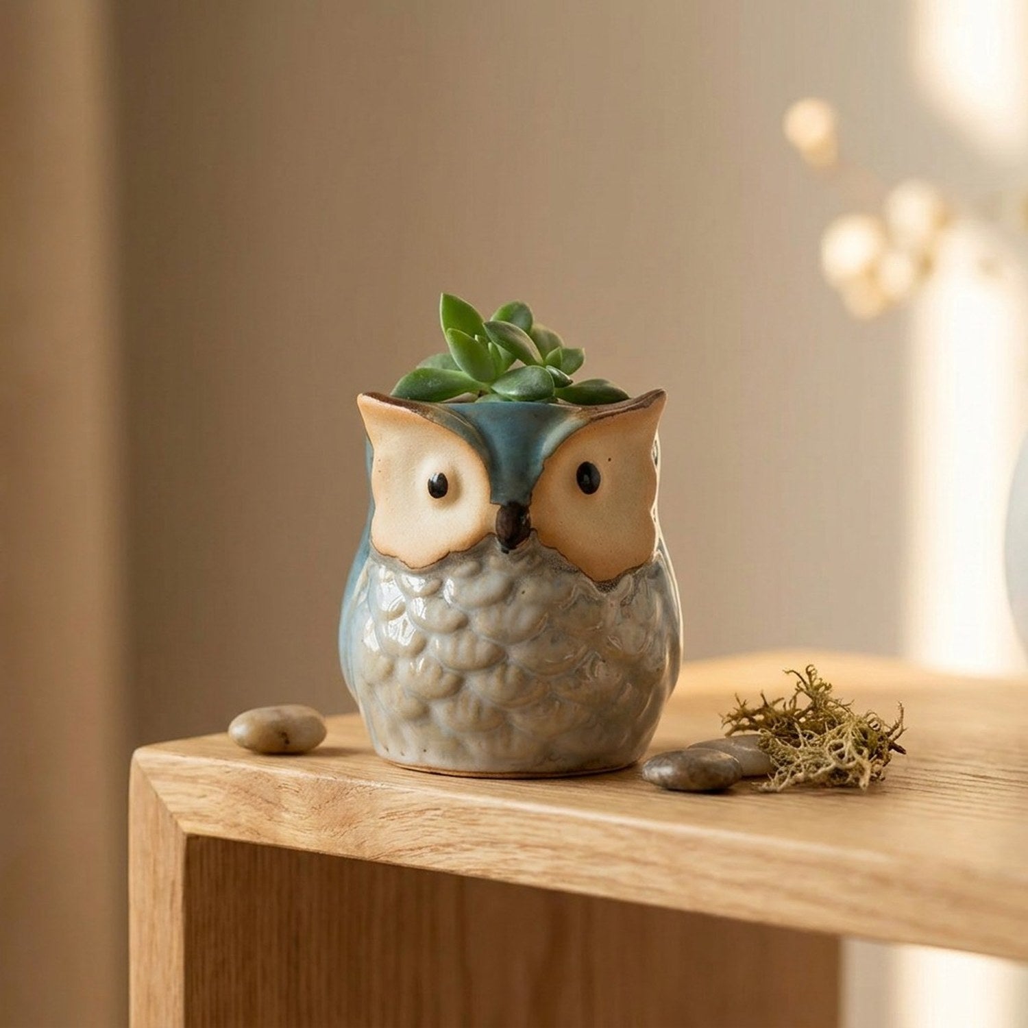 Cache-pot hibou céramique bleu avec succulente sur table en bois