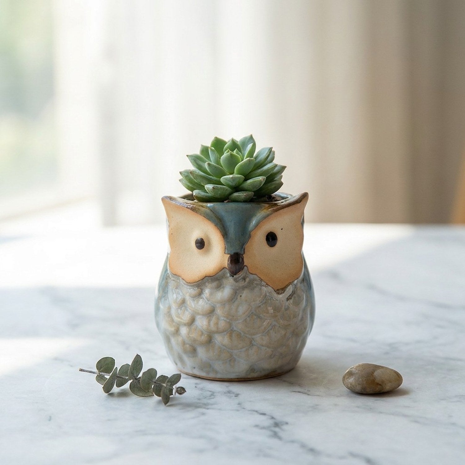 Cache-pot hibou céramique couleur Bleu avec succulente sur marbre