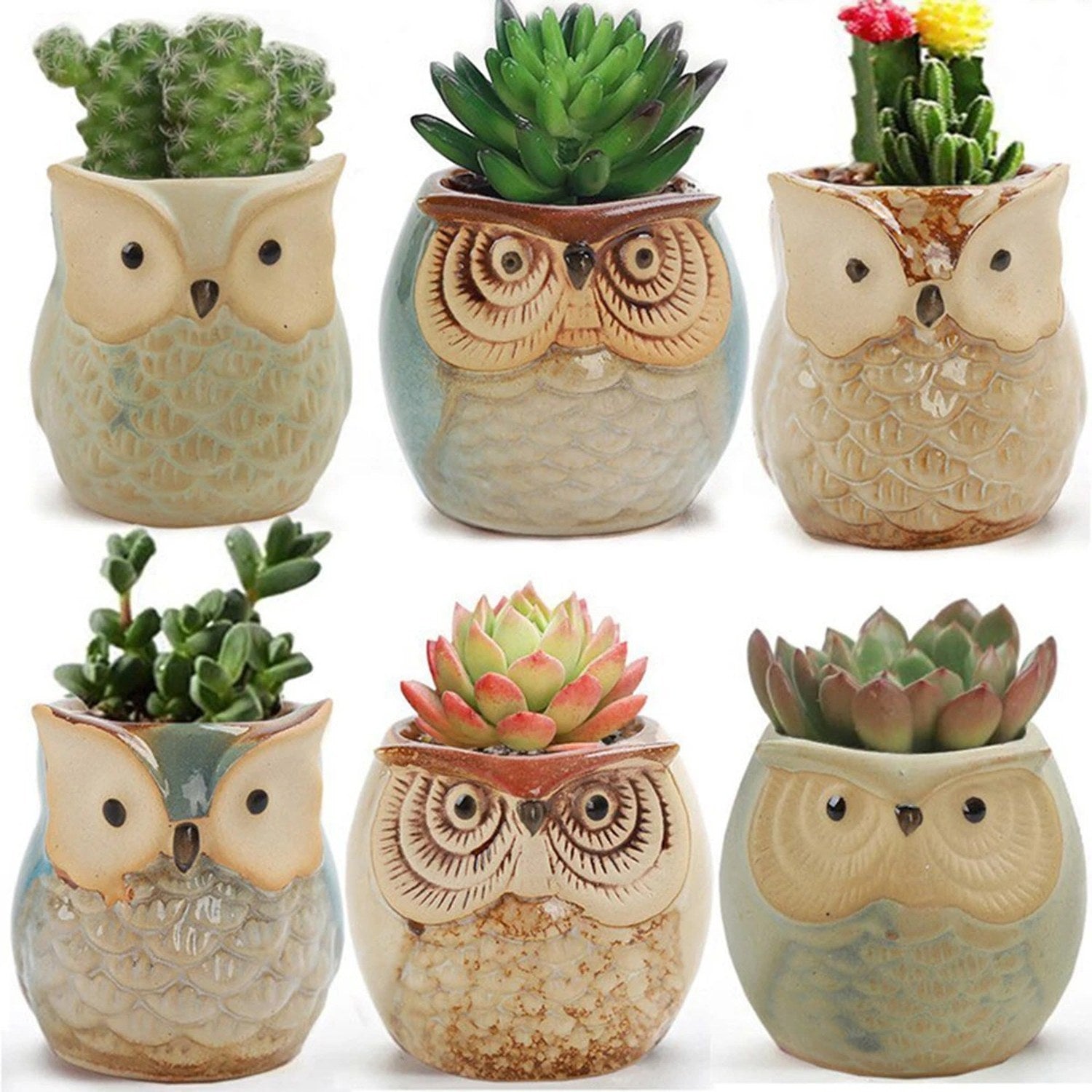 Collection de cache-pots hibou céramique en différents coloris avec et sans plantes