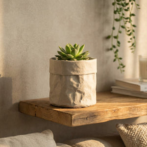 Cache-pot en papier kraft gris avec une succulente sur une etagere en bois
