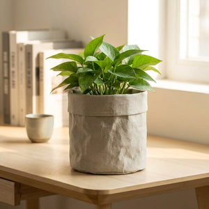 Cache-pot en papier kraft gris garni d'une plante verte sur un bureau lumineux