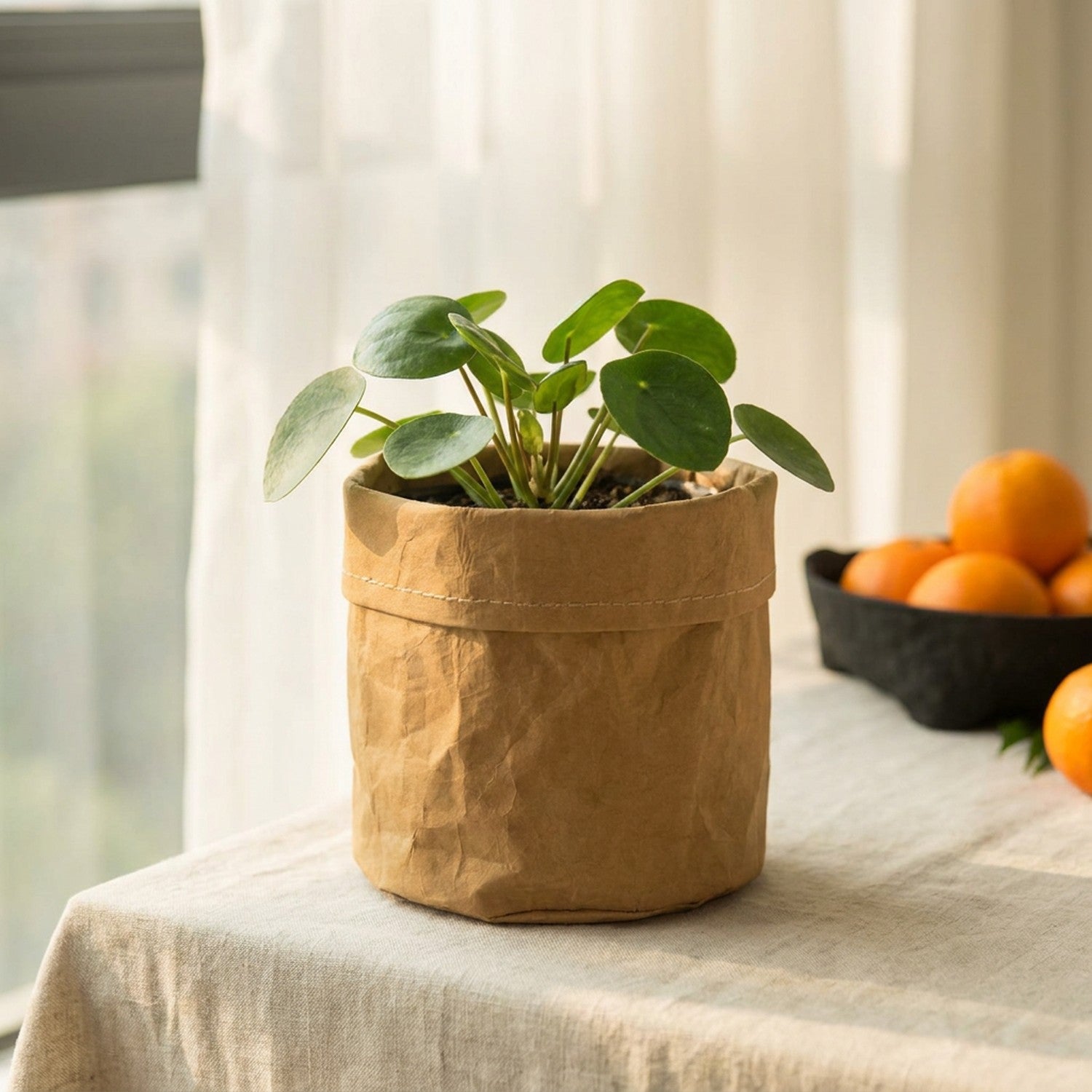 Cache-pot en papier kraft marron avec une plante verte sur une table en lin