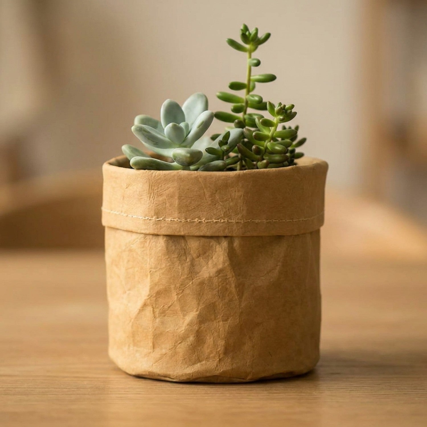 Cache-pot en papier kraft marron avec une succulente verte