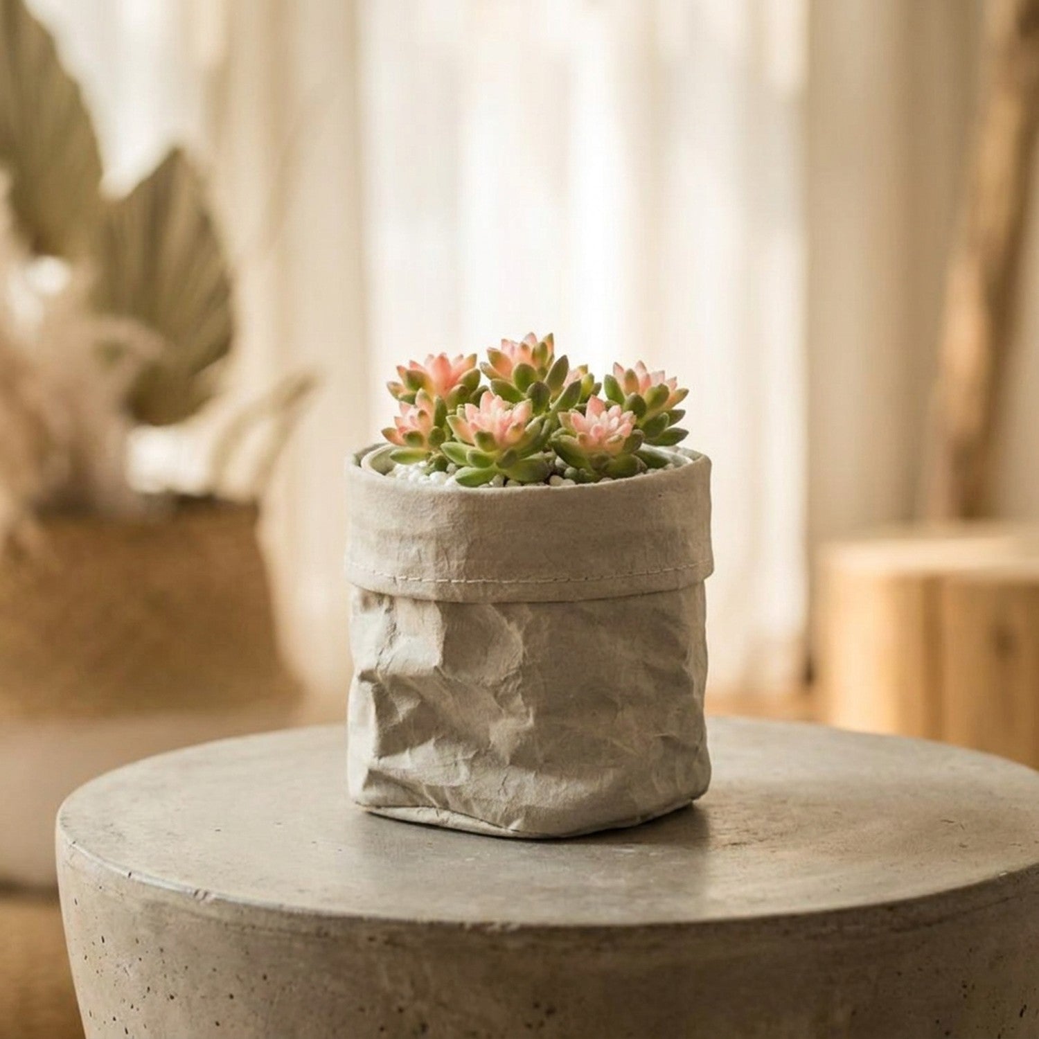 Cache-pot en papier kraft gris avec des succulentes fleuries sur une table en beton