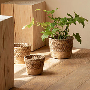 Cache-pot panier osier naturel - vue ensemble