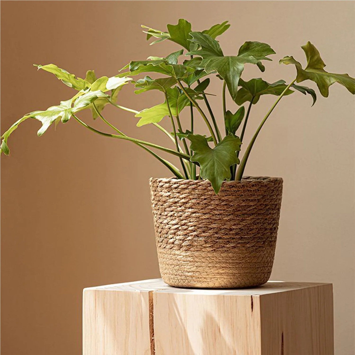 Cache-pot panier osier naturel - vue 1