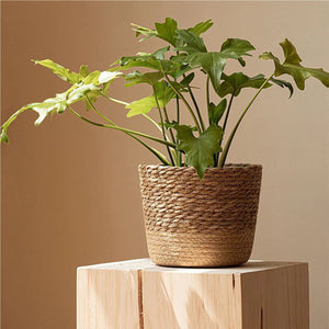 Cache-pot panier osier naturel - vue 1