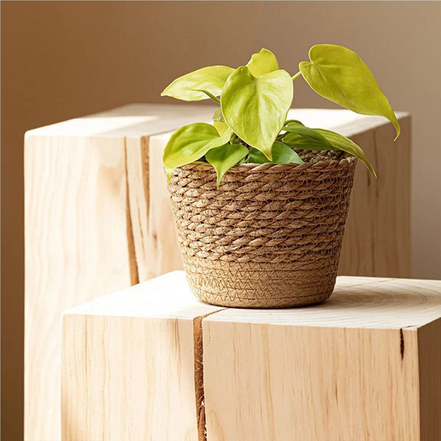 Cache-pot panier osier naturel - vue 3