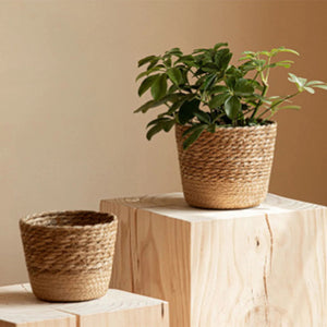 Cache-pot panier osier naturel - vue 4