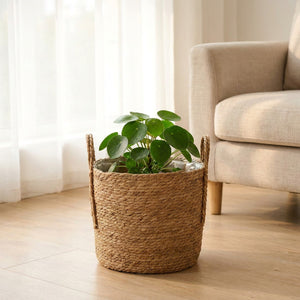 Cache-pot en paille tressée avec une plante verte près d'un fauteuil en lin beige dans un salon scandinave