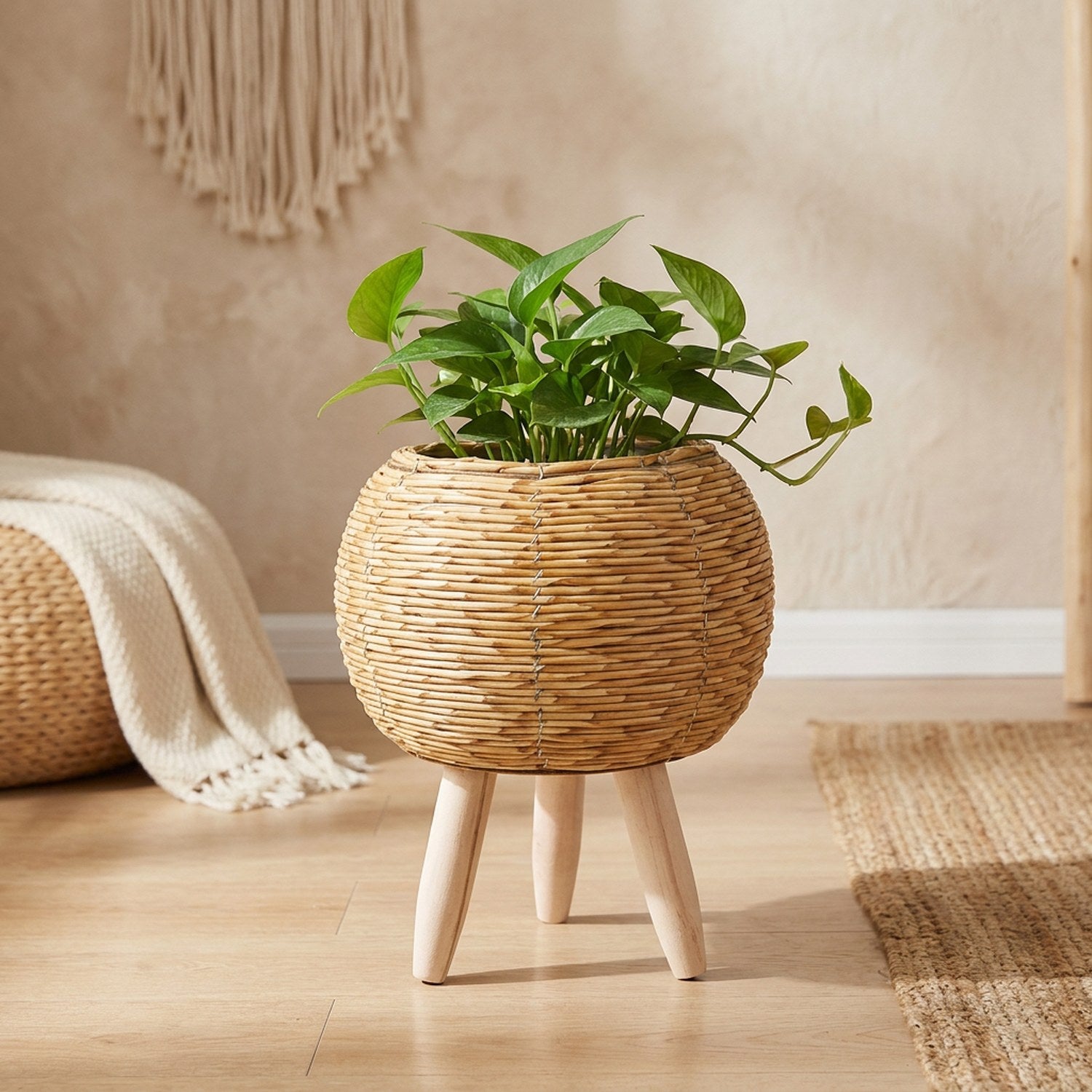 Cache-pot sur pied en rotin tressé clair garni d'une plante verte dans un salon lumineux