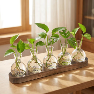 Station de bouturage de cinq vases en verre sur plateau en bois avec boutures et racines
