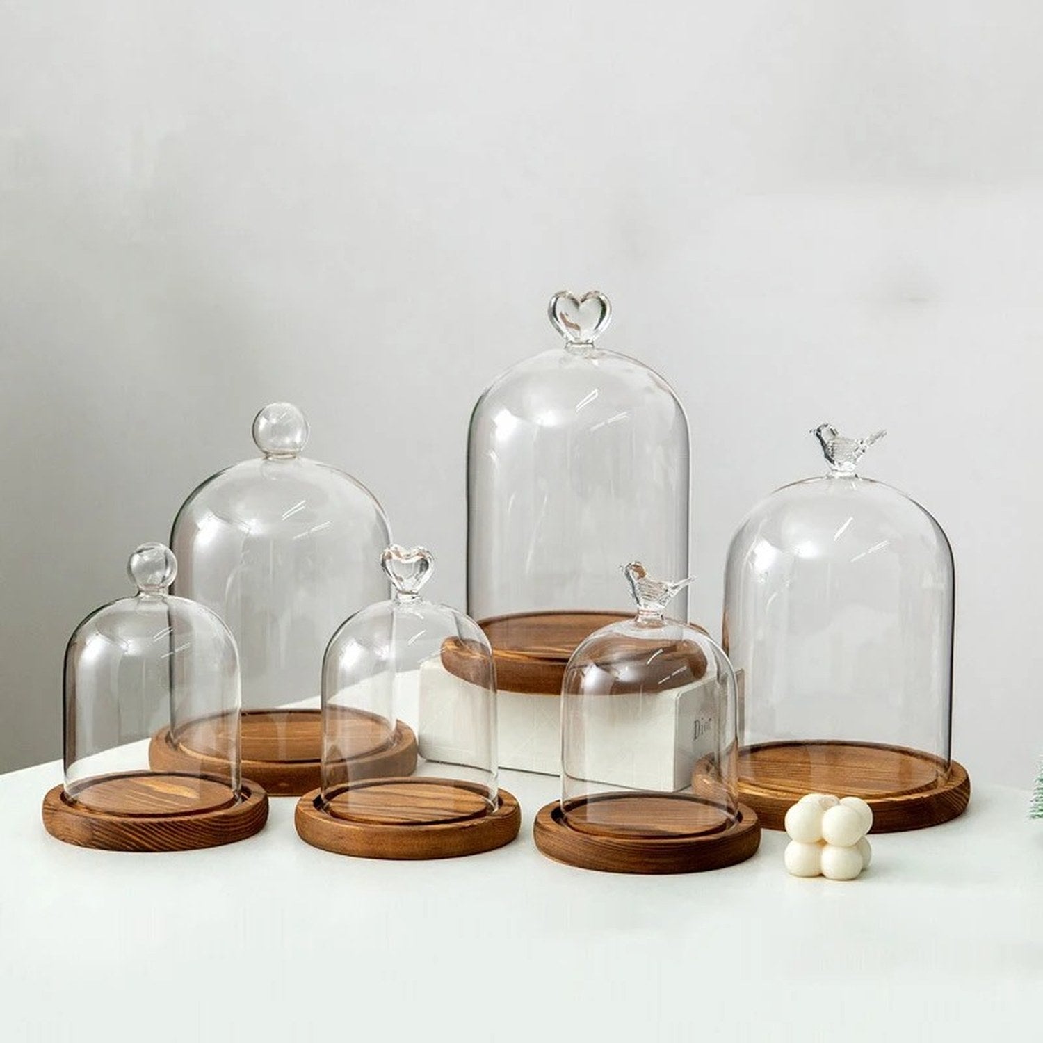 Cloche en verre transparente base bois naturel