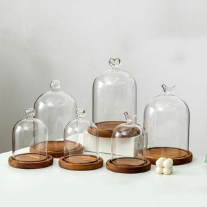 Cloche en verre transparente base bois naturel