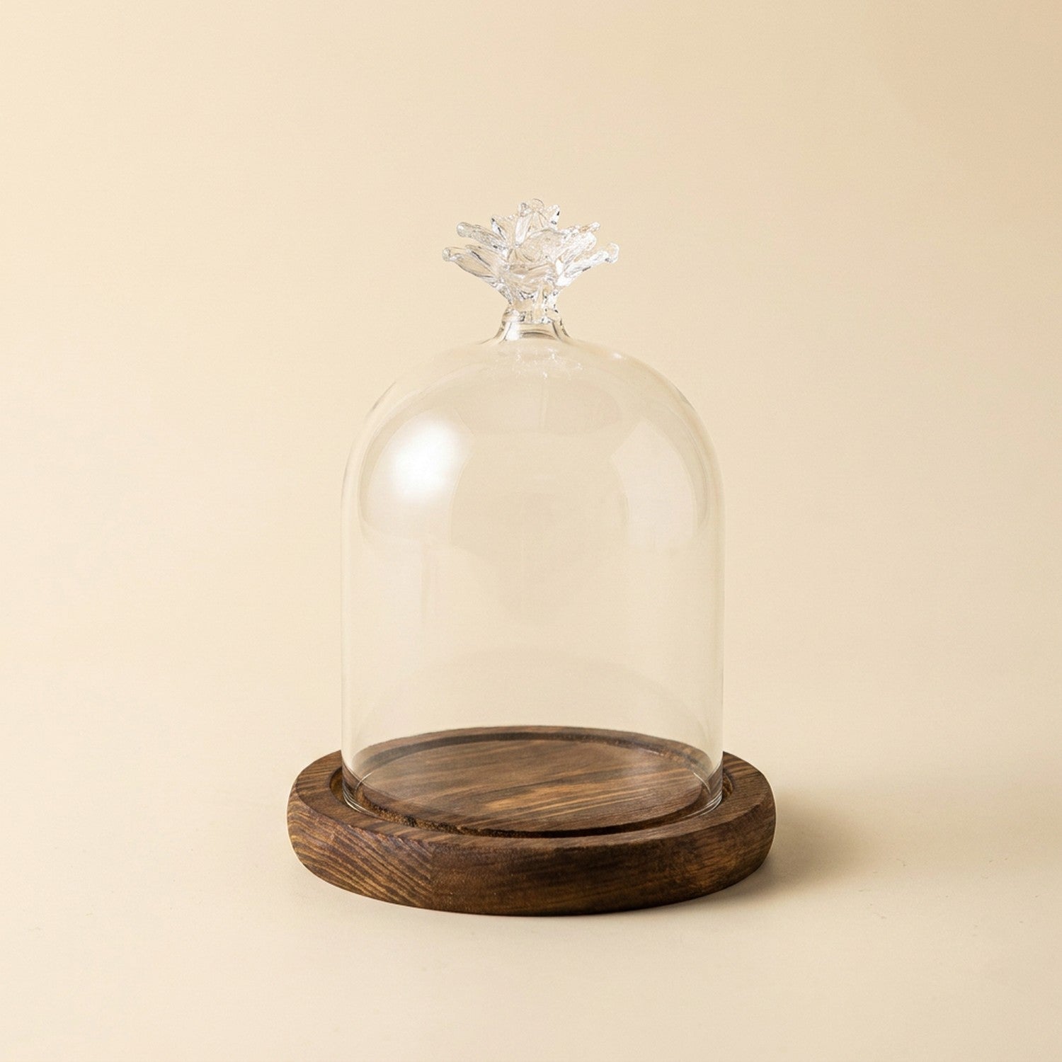 Cloche verre silhouette fleur base bois