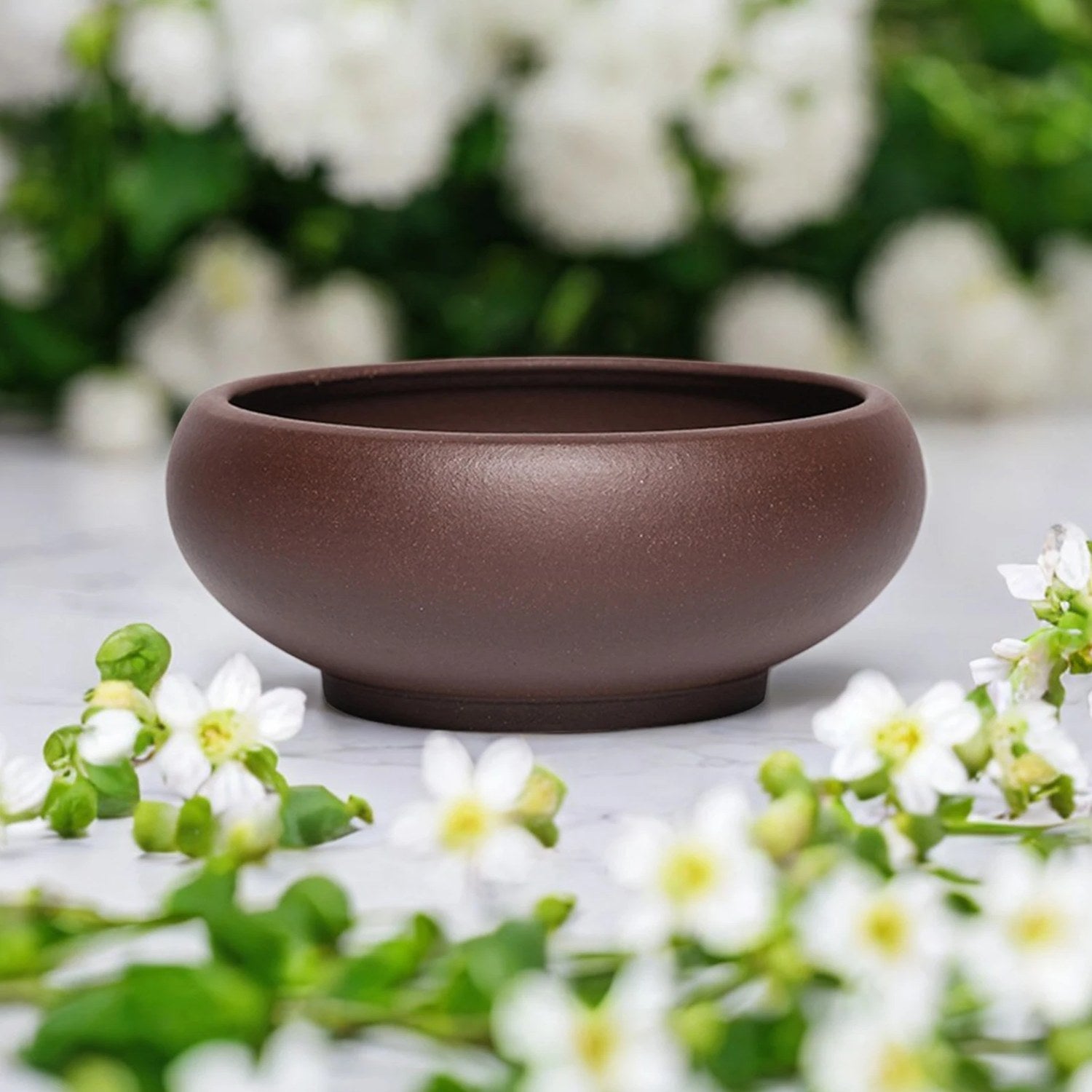Pot bonsaï coupe marron foncé avec fleurs