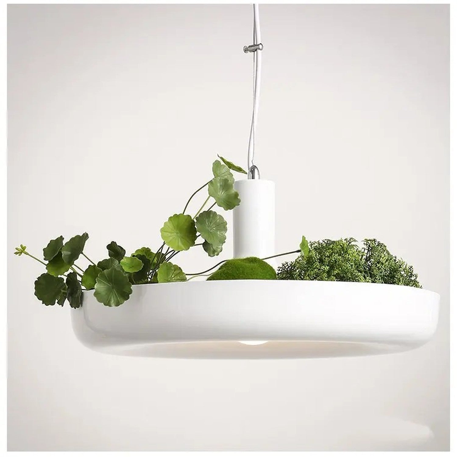 Suspension blanche vue artistique avec feuilles rondes et mousse dans le bac à plantes
