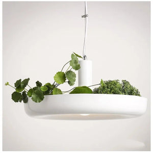 Suspension blanche vue artistique avec feuilles rondes et mousse dans le bac à plantes