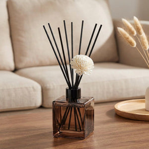 Diffuseur à bâtonnets sur une table basse de salon avec canapé en lin et pampa