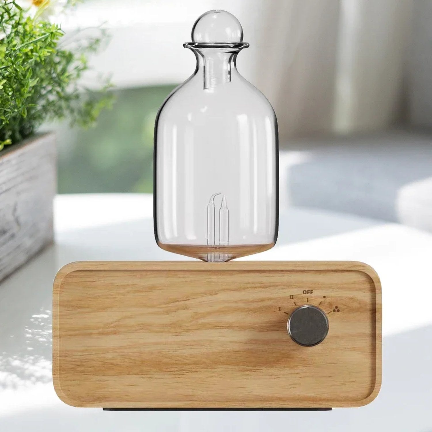 Diffuseur d'huile essentielle en verre et bois naturel posé près d'une plante verte
