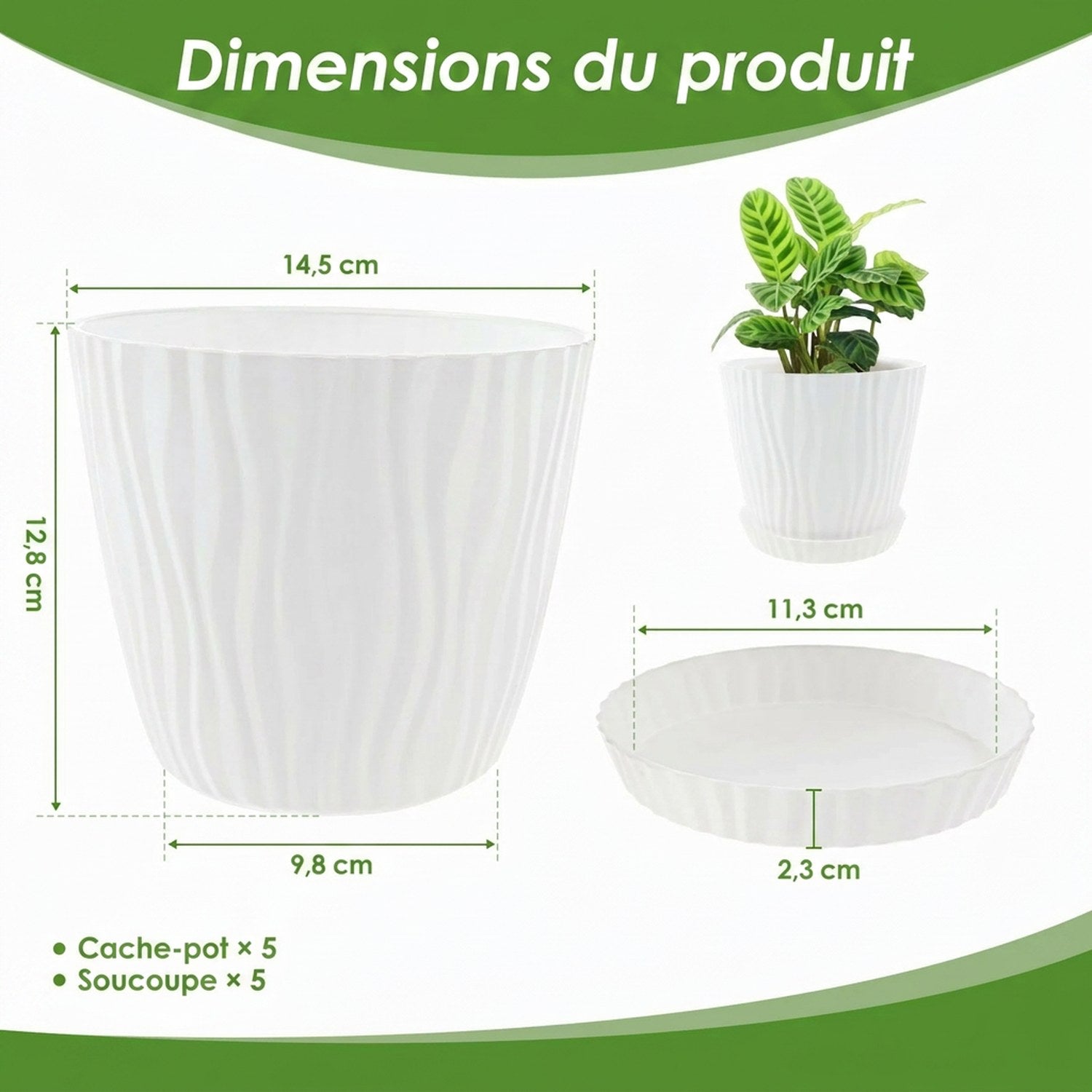 Dimensions du cache-pot : ouverture Ø 14,5 cm, H 12,8 cm, base Ø 9,8 cm, soucoupe Ø 11,3 cm