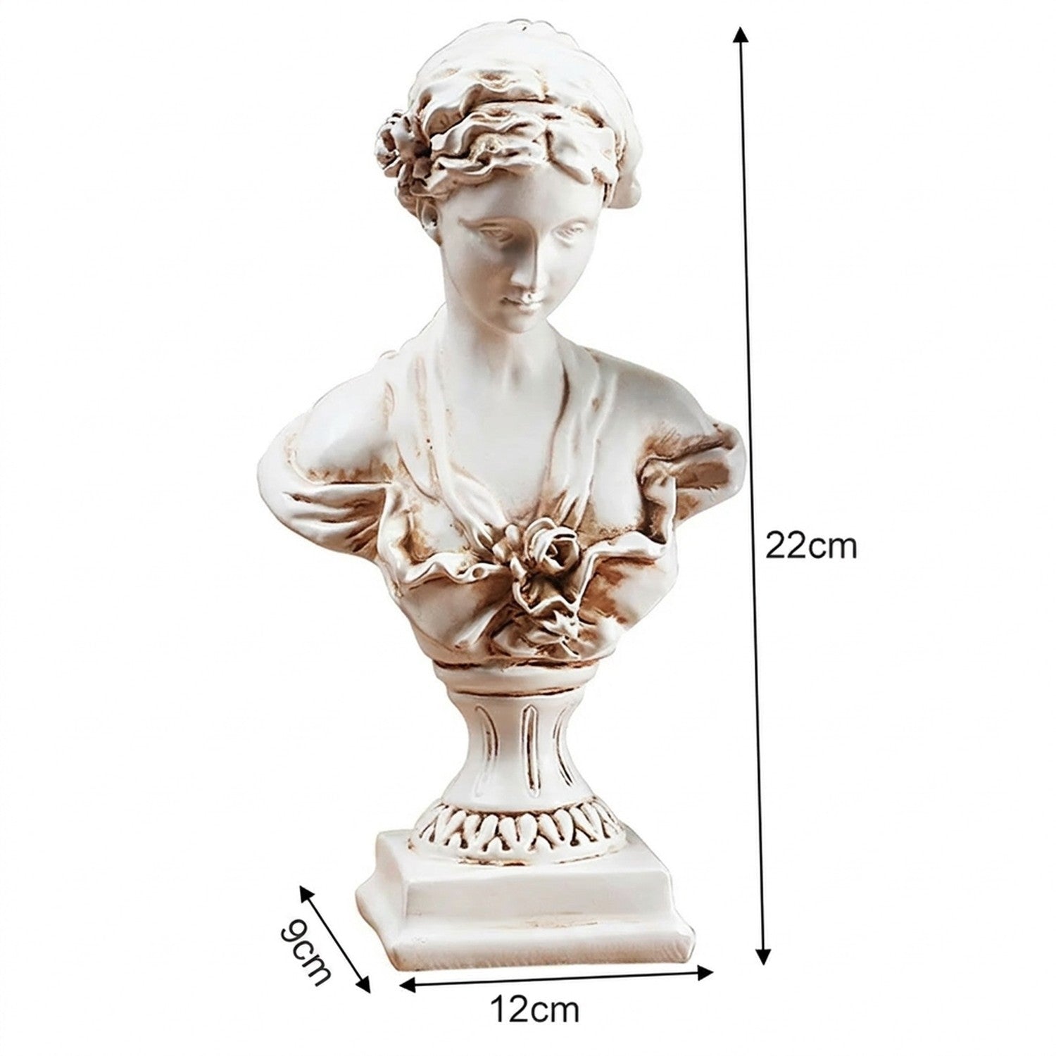 Dimensions du buste de Vénus en résine : largeur 12 cm profondeur 9 cm hauteur 22 cm