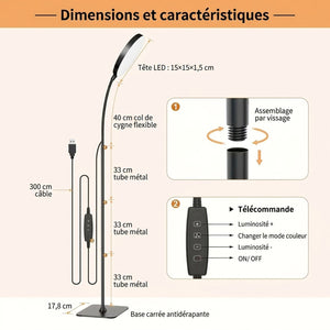 Dimensions et caractéristiques techniques du lampadaire liseuse LED col de cygne flexible